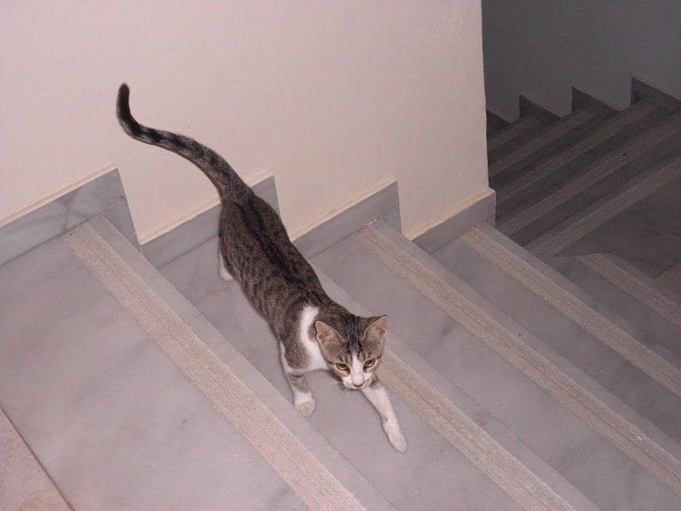 Cat Natura Park Village Hotel & Spa