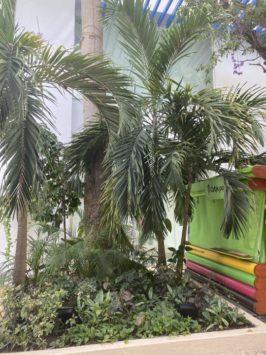 Gartenanlage Akumal Bay Beach & Wellness Resort