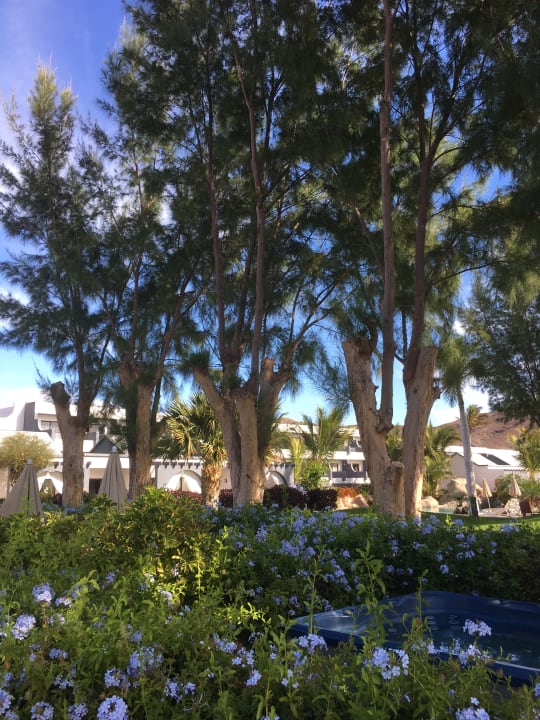 Gartenanlage R2 Romantic Fantasia Suites - Adults only