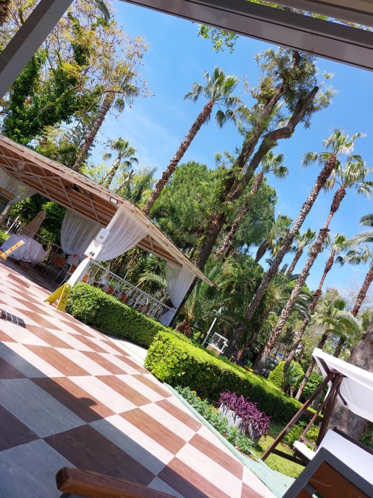 Gartenanlage Hotel Botanik Platinum