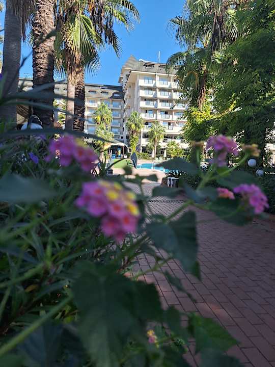 Gartenanlage MC Arancia Resort