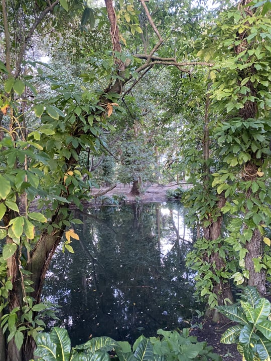 Gartenanlage Viva Heavens by Wyndham - All Inclusive Resort