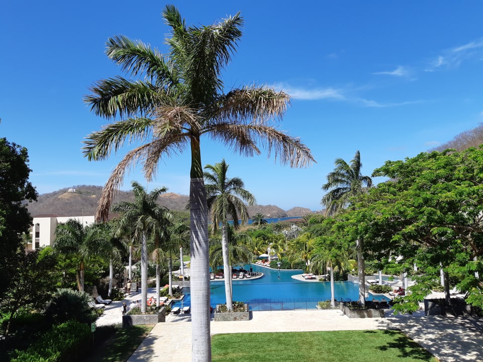 Gartenanlage Dreams Las Mareas Costa Rica