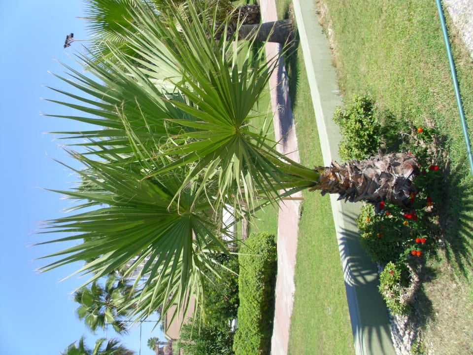 Strandpromenade FUN&SUN Smart Hane Sun Hotel