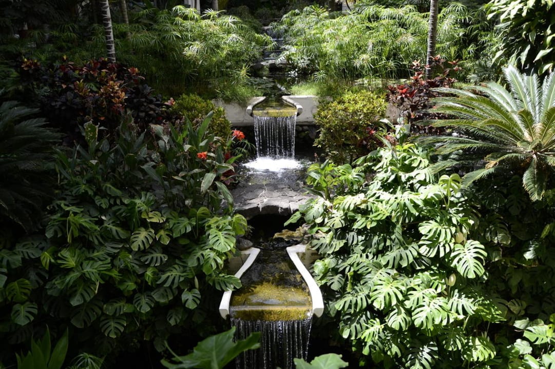 Garten mit Wasserlauf Paradisus by Meliá Salinas Lanzarote