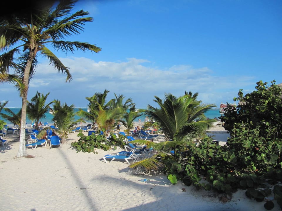 Viele Palmen die Schatten spenden Villas Bavaro Resort & Spa