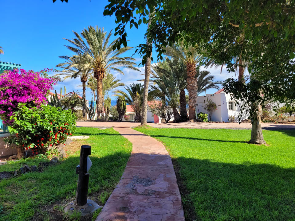 Gartenanlage Aldiana Club Fuerteventura