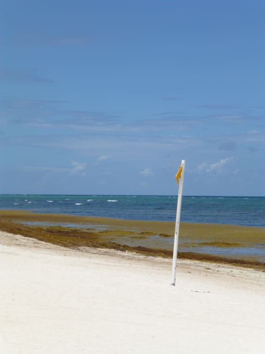 Strand Dreams Tulum Resort & Spa