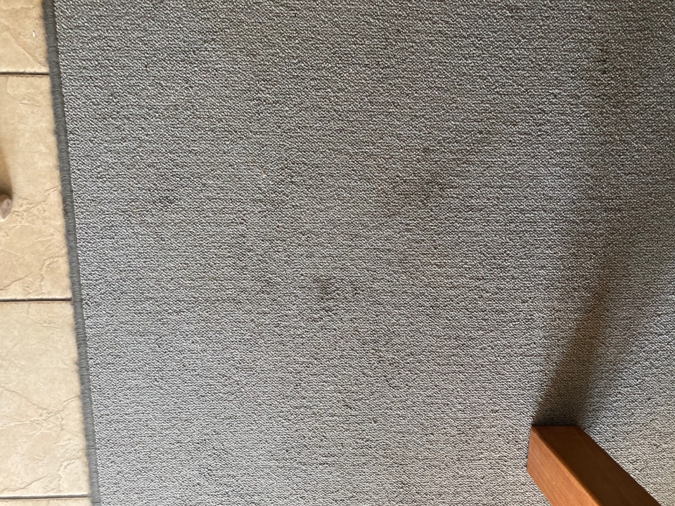 Zimmer Ferienpark Landal Villapark Vogelmient