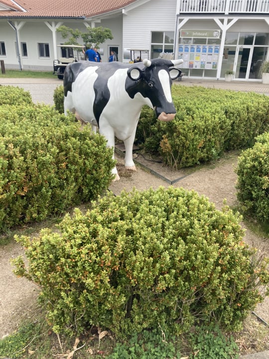 Ausblick BEECH Resort Boltenhagen