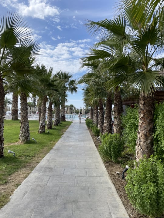 Pool Atlantica Mikri Poli Kos