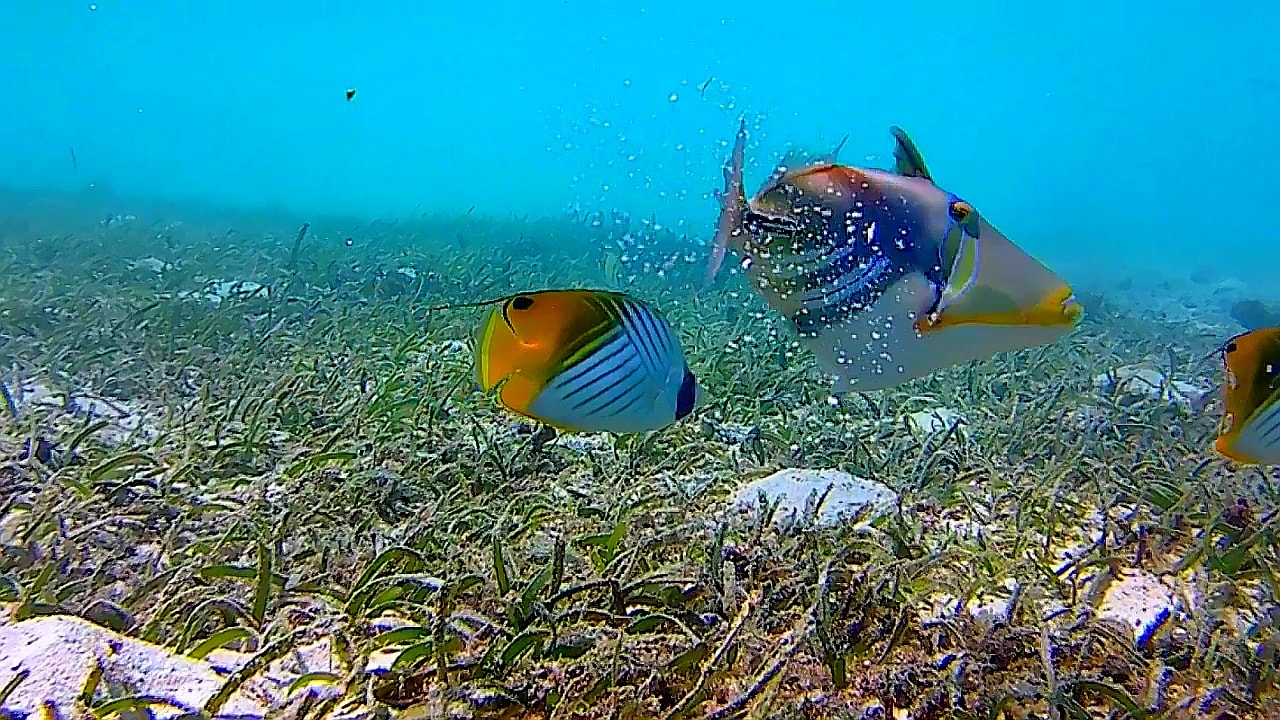 Sport & Freizeit Adaaran Select Hudhuran Fushi - Premium All Inclusive