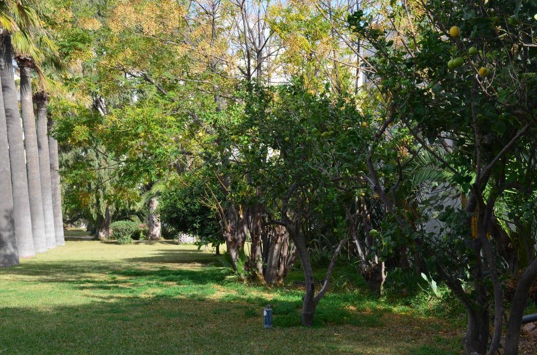 Gartenanlage Hammamet Beach