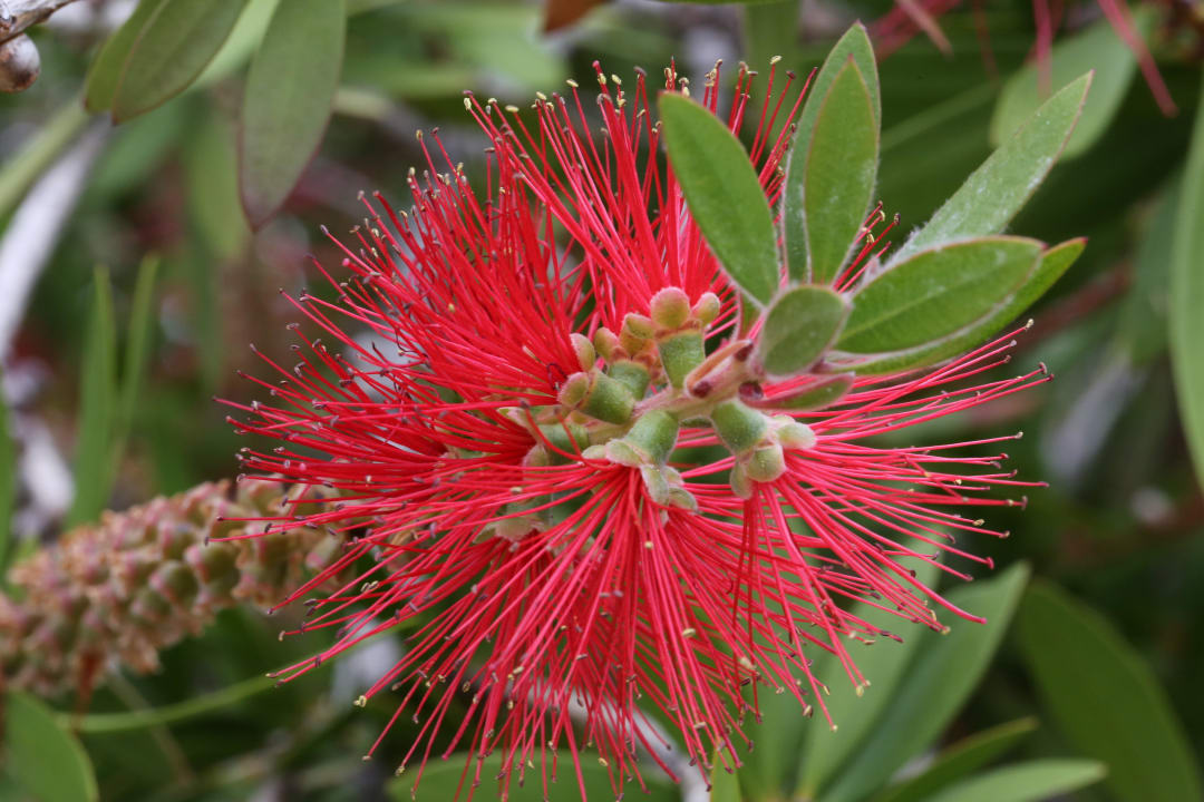 Madeira Eden Mar  Suite Hotel Eden Mar - PortoBay