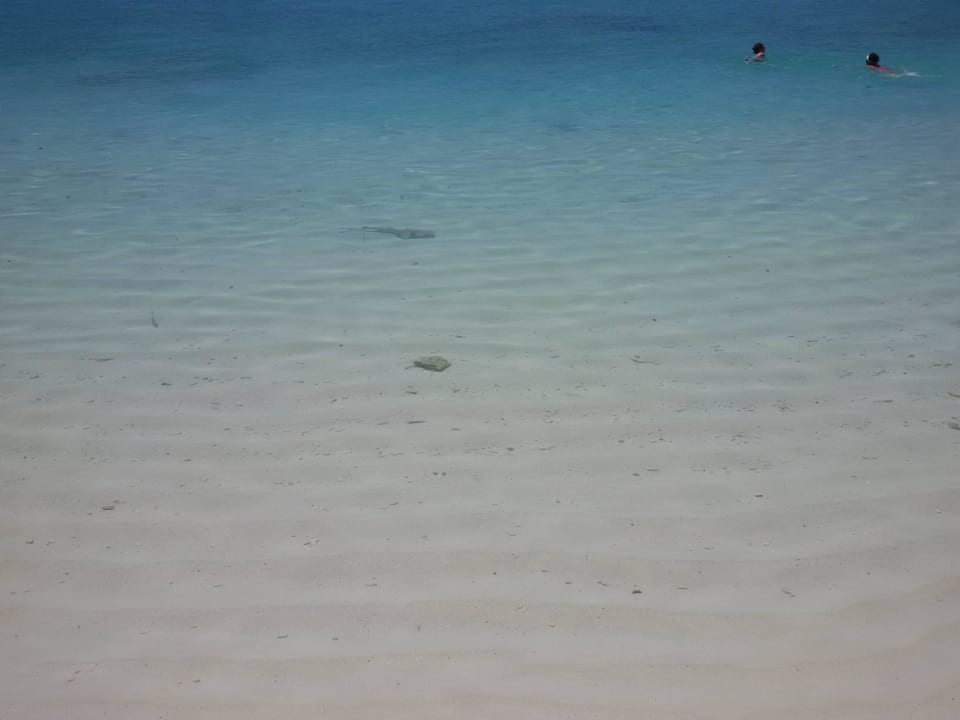 Riffhaie Adaaran Select Meedhupparu Island Resort - Premium All Inclusive