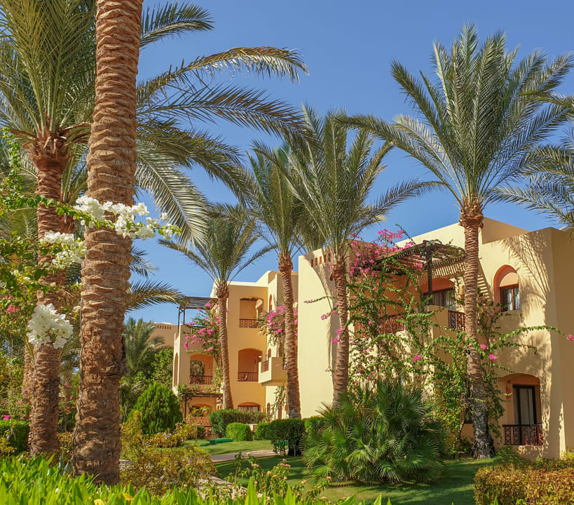 Gartenanlage Steigenberger Coraya Beach - Adults only