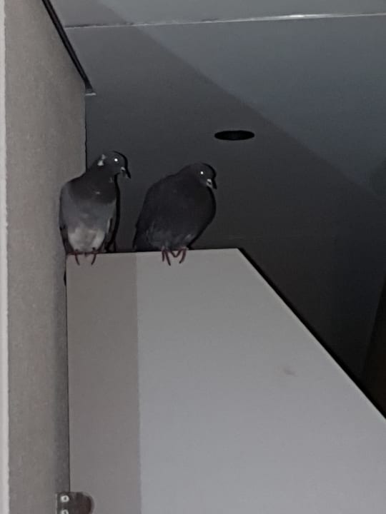 Zimmer NH Collection München Bavaria