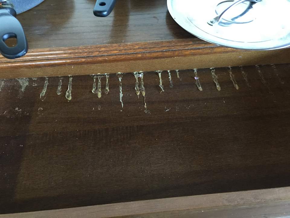 Zimmer Ecolodge Tenerife