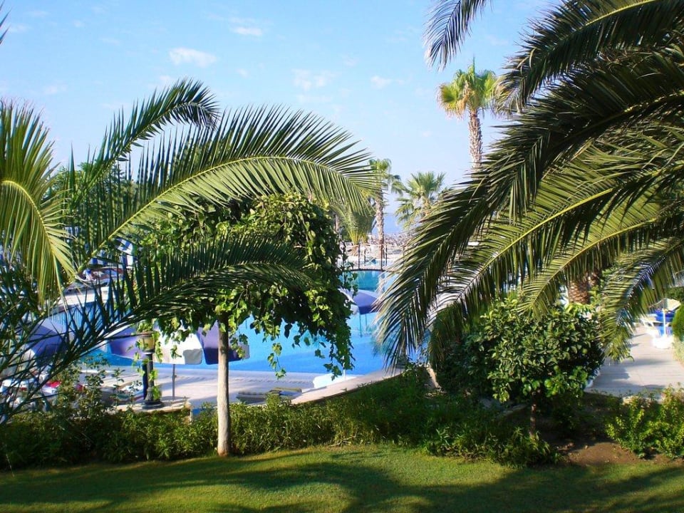 Pool Hotel Thalia Unique