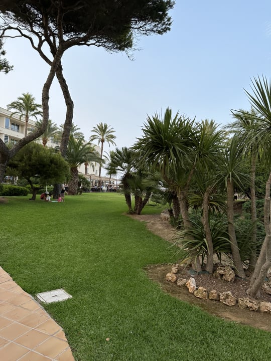 Gartenanlage Grupotel Natura Playa