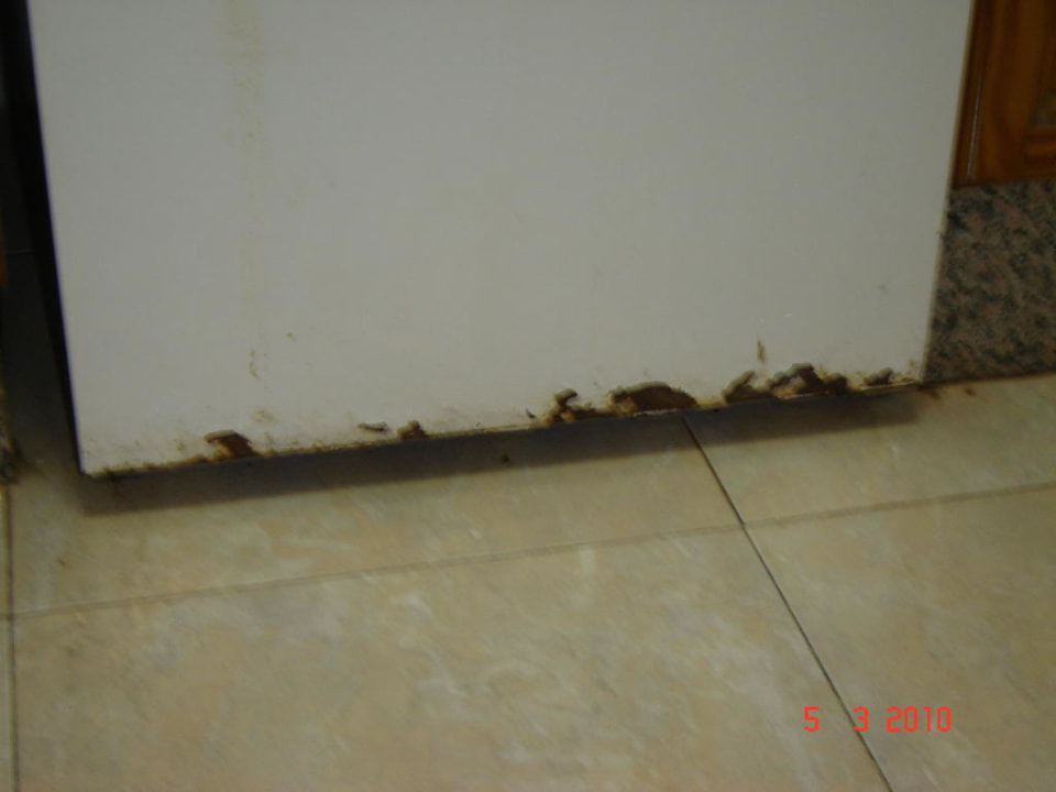 Kühlschrank Apartamentos Las Faluas