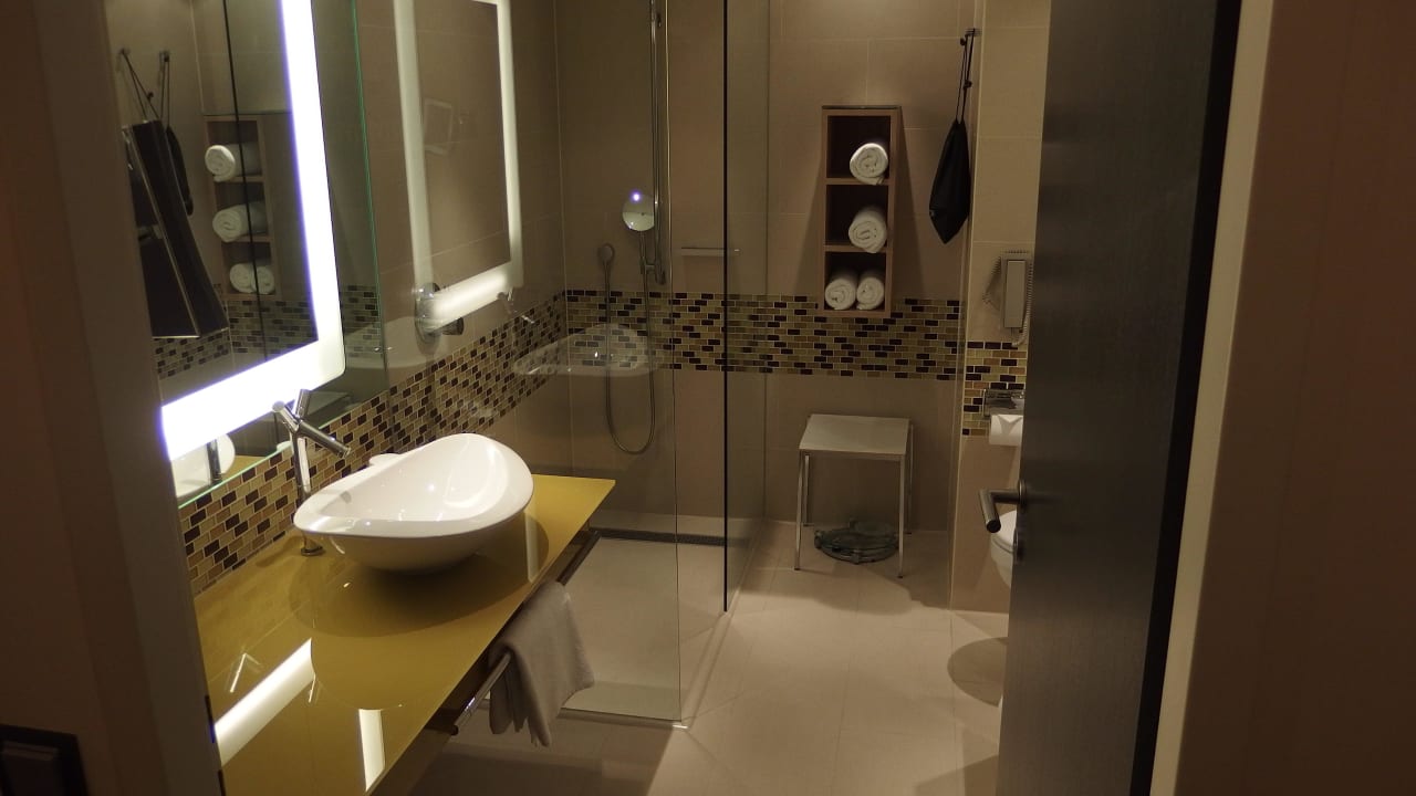 Bad Hilton Frankfurt Airport