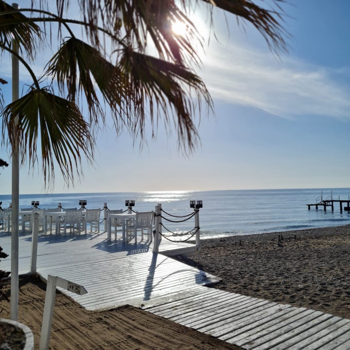 Strand Balmy Foresta