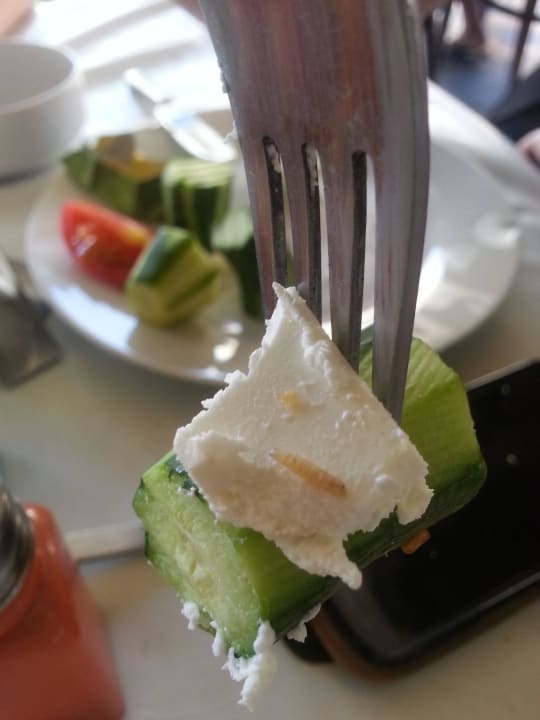 Larwy much Hotel Atrium Beach