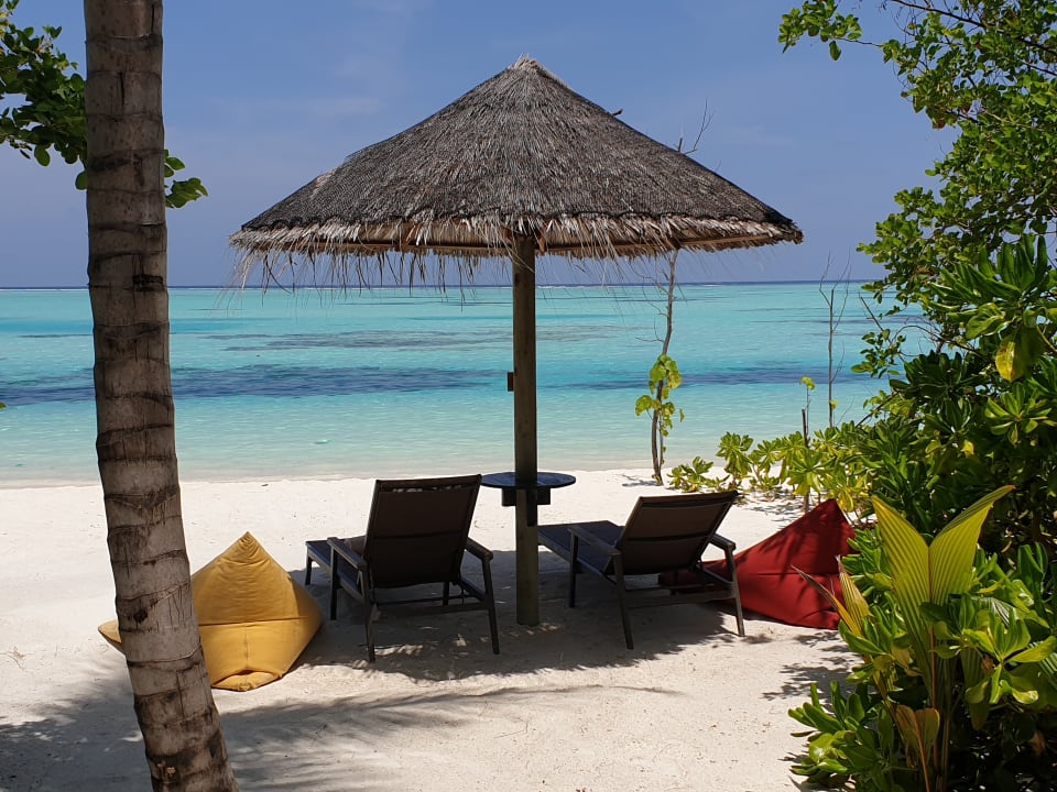 Zimmer OZEN LIFE MAADHOO