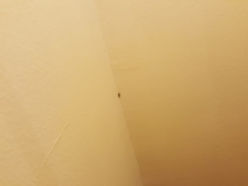 Zimmer Starlight Resort Hotel