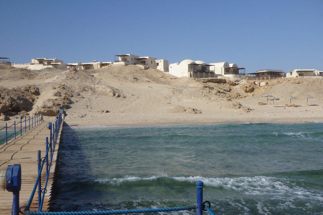 Jetty The Oasis Dive Resort