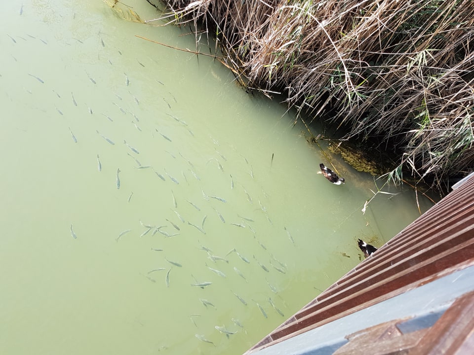 Gartenanlage Xanadu Resort Hotel