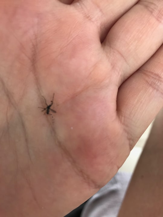 Sonstiges Kihaa Maldives