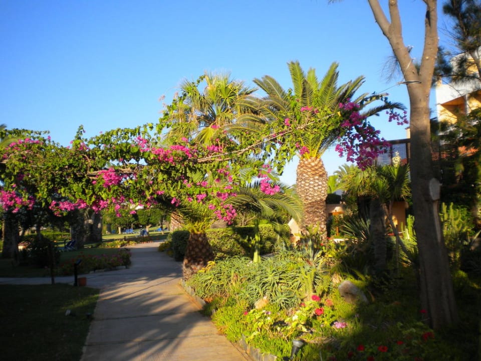 Wunderschöne Gartenanlage Anissa Beach & Village