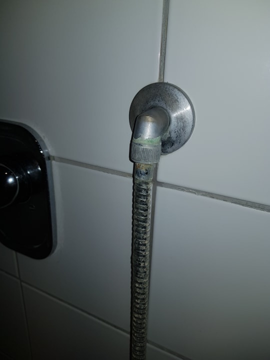 Zimmer Hotel Das Lamm Heidelberg