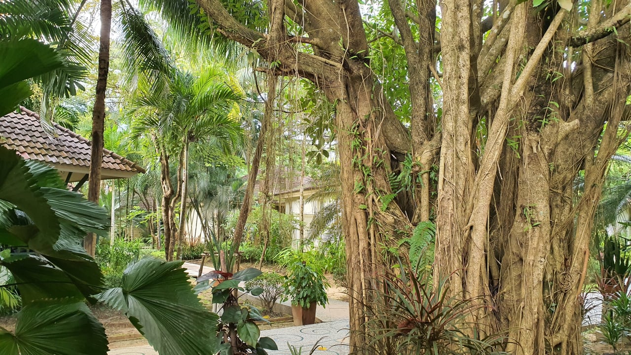 Gartenanlage Baan Khaolak Beach Resort