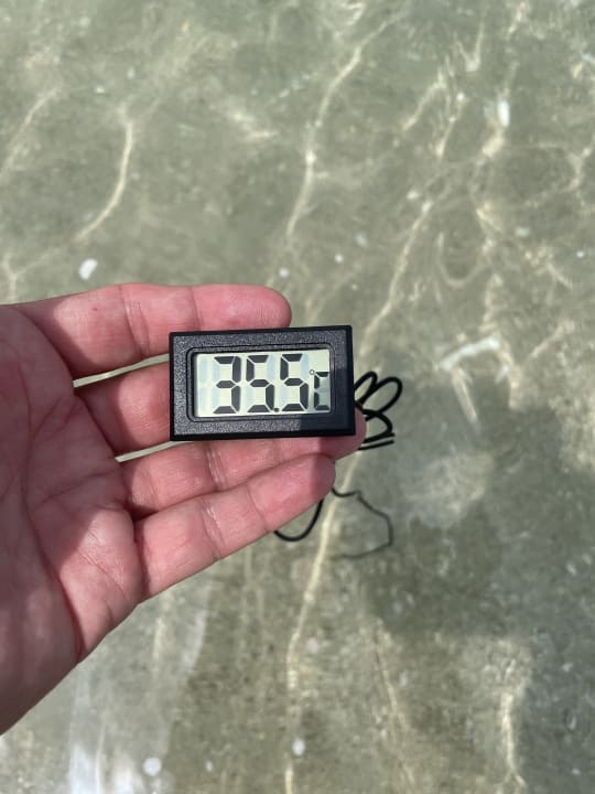 Strand Rixos The Palm Hotel & Suites