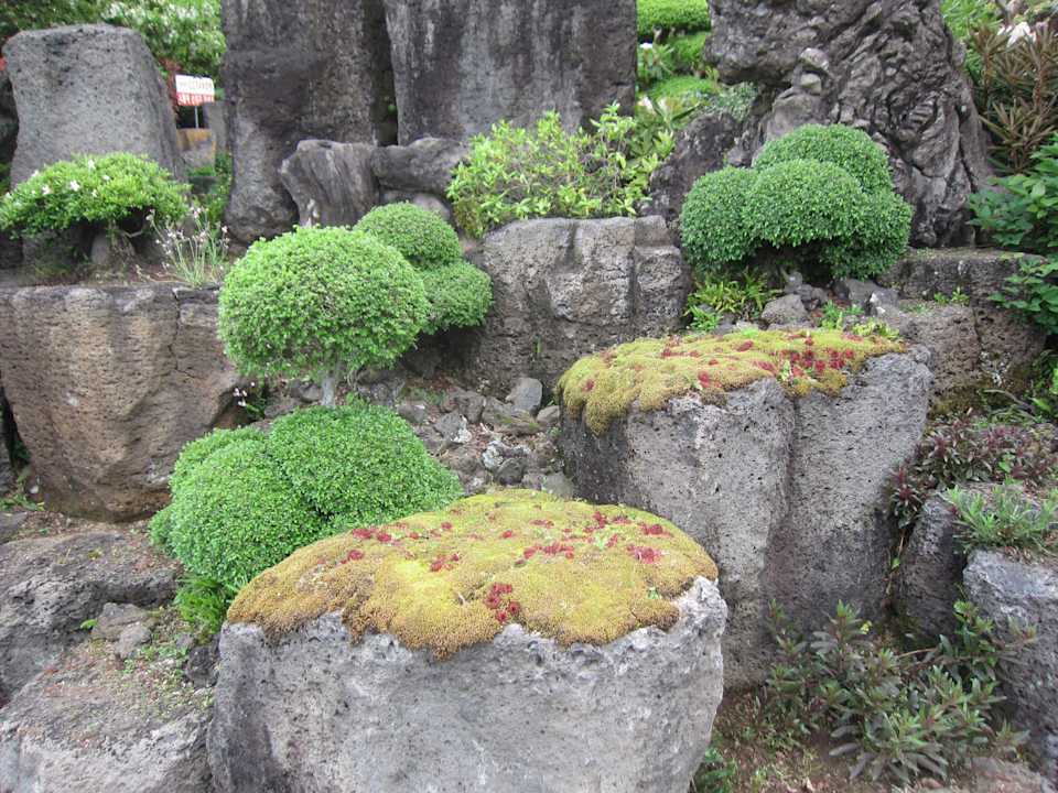 Wunderschöner botanischer Garten Hotel Gyulimsung