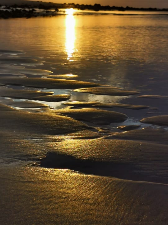 Strand Marina Playa Suite Hotel