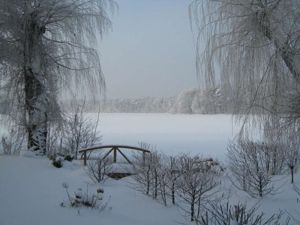 Blick von der Zimmerterrasse  Hotel Seegasthof im Volkshaus