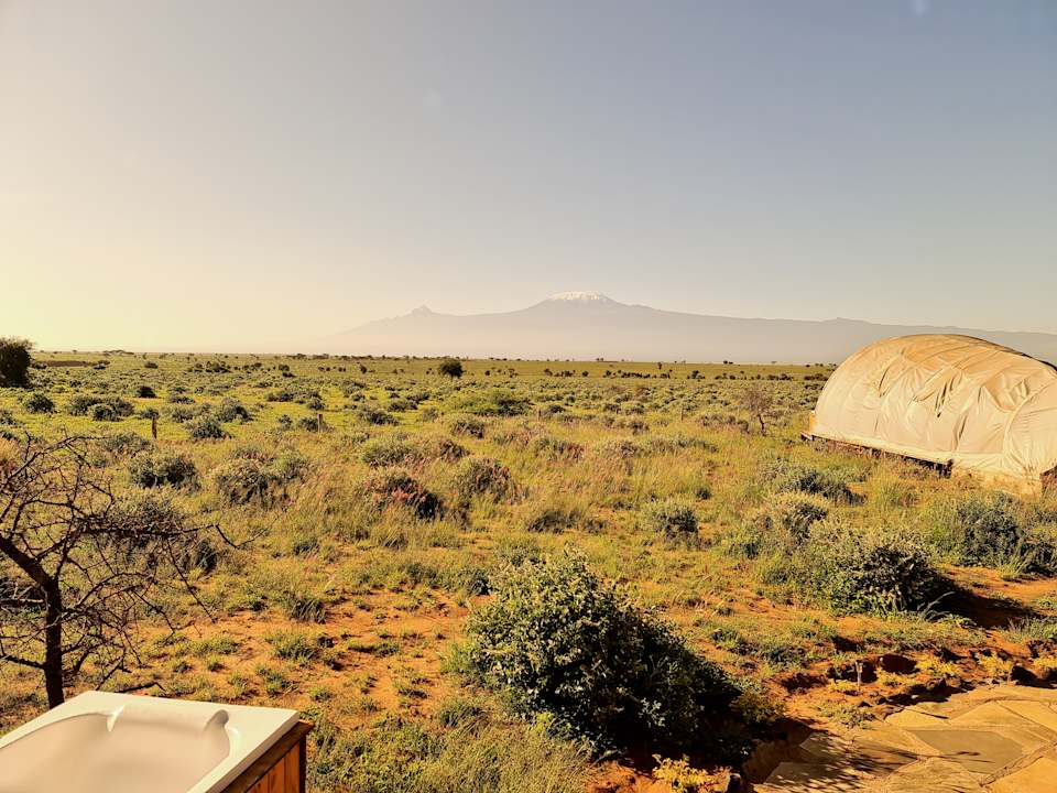 Ausblick Amanya 1 -Bed King Lion Tent