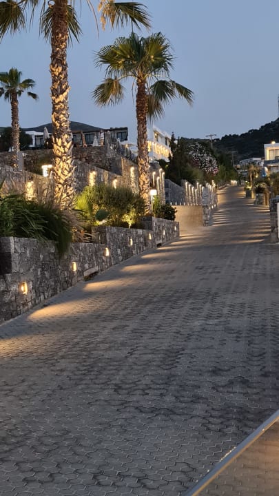 Gartenanlage Nana Princess