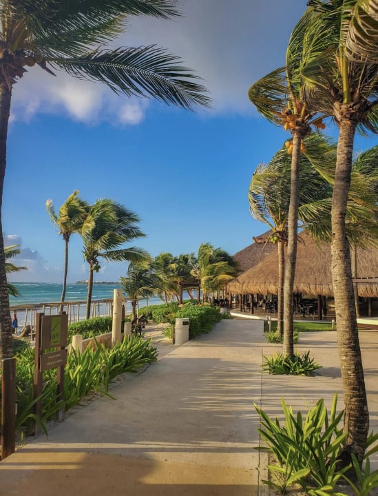 Gartenanlage Akumal Bay Beach & Wellness Resort