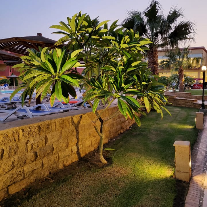 Gartenanlage Casa Mare Resort