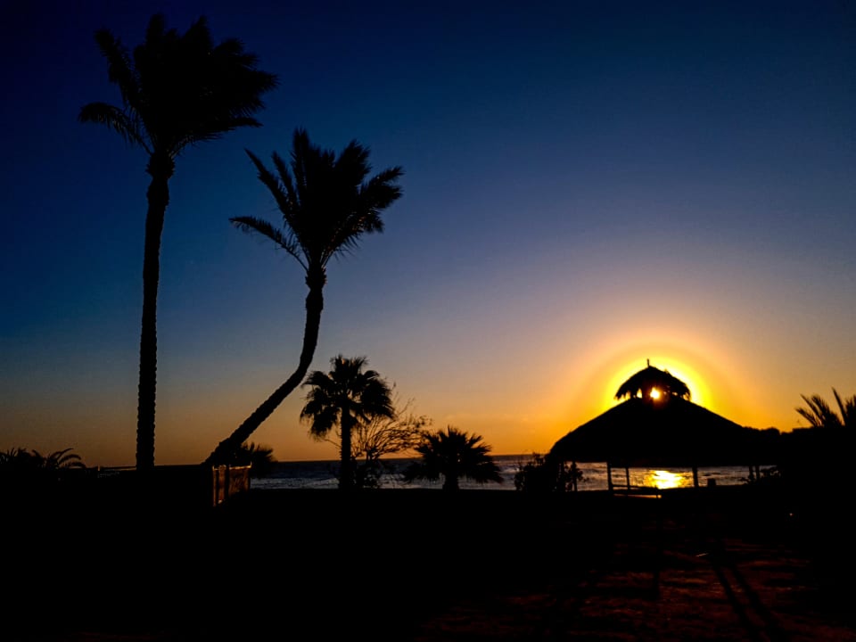 Gartenanlage Steigenberger Coraya Beach - Adults only