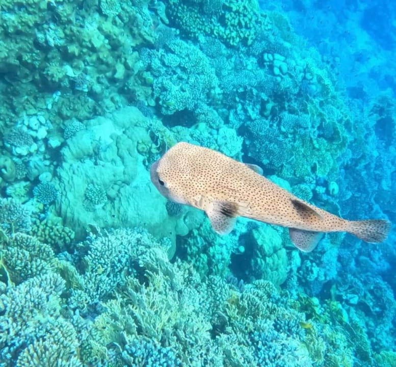 Strand Casa Mare Resort