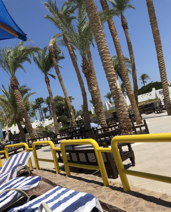 Sonstiges Shams Safaga Resort