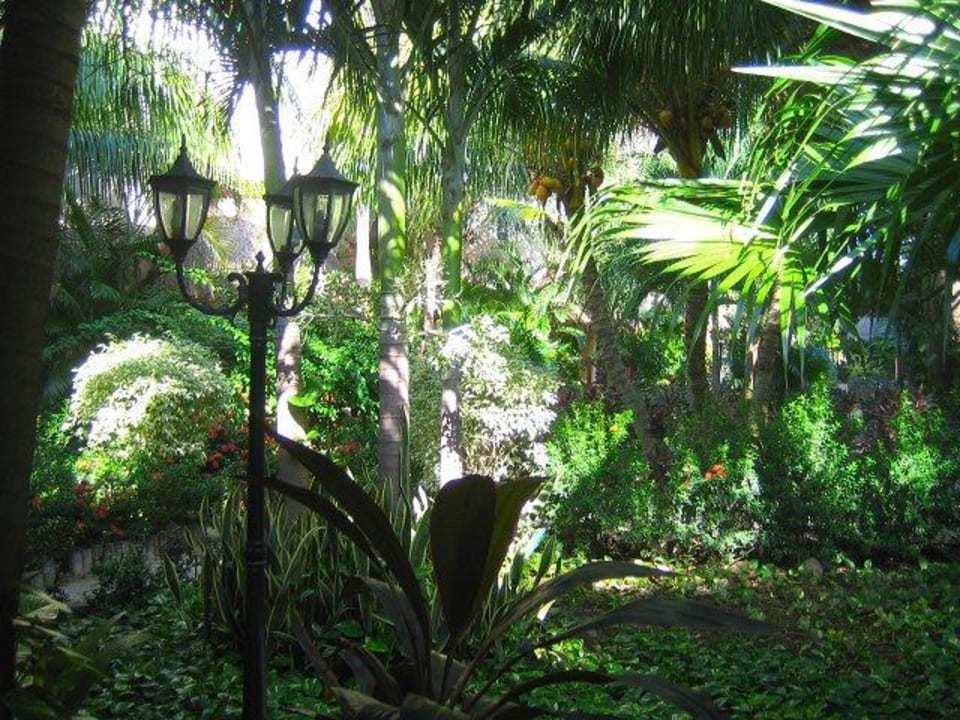 Blick in den Garten von der Speisesaalterrasse Villas HM Paraiso del Mar