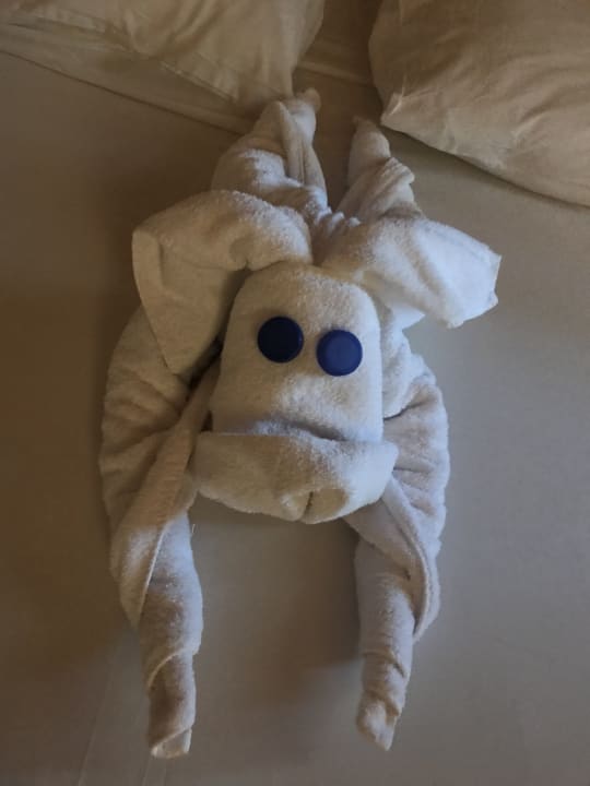 Zimmer Jaz Makadi Oasis Resort