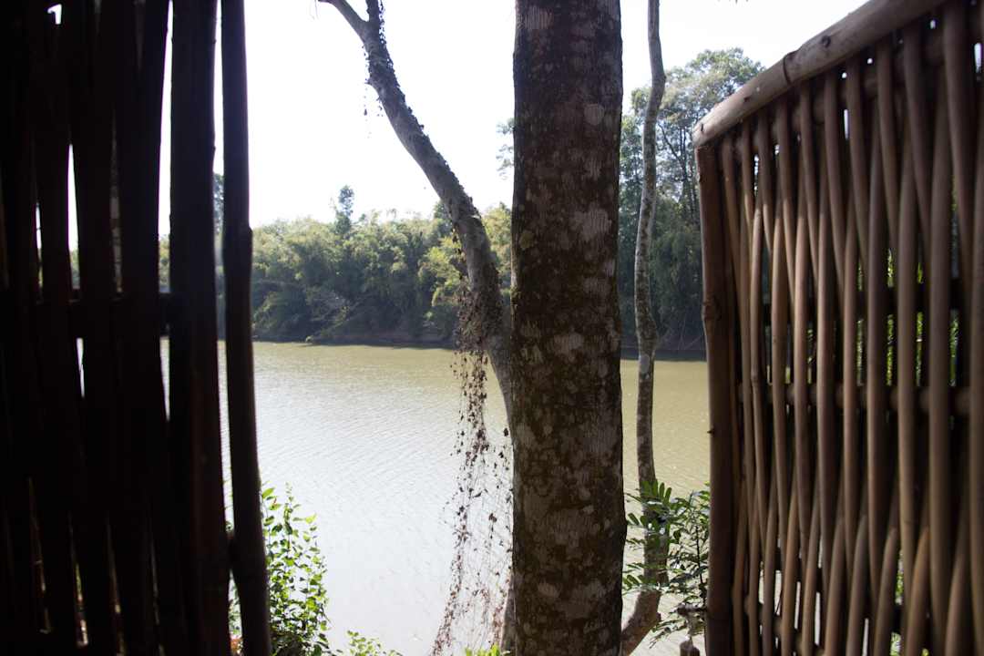 Widok na rzekę Green Bamboo Lodge Resort